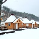 아리지 핀란드 이미지