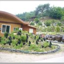 숲속건강나라 이미지