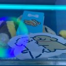 욜로PC방 김해어방점 이미지