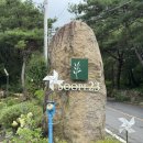 뽀미네 놀다올개 | 충북 제천 계곡 펜션 추천 야외수영장 있는 풀빌라 펜션 수페23 (+제천 능강계곡 후기)
