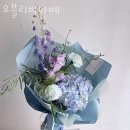 오블리비아떼 이미지