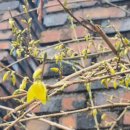 둘리쌍문공원 세심천 이미지