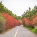 탐라대학교 이미지