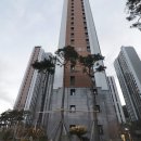 태리(太利)공인중개사사무소 이미지
