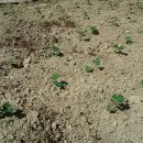 송간농장 이미지