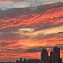 한양아파트 내 | [서울 광진구]자양한양아파트 거주 후기