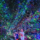 숲속애 휴가 이미지