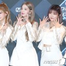 엠. 제이코리아