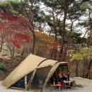 로로캠핑 - 칠곡군 2산업단지2길 20-12 | 로로캠핑