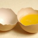 노른자 이미지