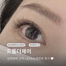프롬제이뷰티 | 남위례역 속눈썹연장 프롬더제이 led연장 2주 후기