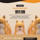 로티플PC 이미지