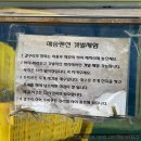 해송펜션 | 서해 춘장대캠핑장 1박 2일 촬영지 해송펜션 숙박 후기