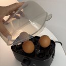 (주)우석생활건강 | 온 가족을 위한 건강 식단, 간편하게 단백질 보충 가능한 필립스 계란찜기 후기 HD9137/90