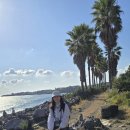 제주 올레길 14-1코스 | [제주도] 제주 올레길 7코스 완주 후기