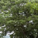 인월시장 센터동 1층 | 시골언니 프로젝트 남원 | 뱀사골로 산책올 수 있는 사람들을 부러워하는 5일차, 6일차