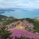 경남 거제 대금산(437.5m) 100대 명섬 진달래 꽃 - 이수도 섬 산행 안내 이미지