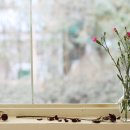 카페루아 이미지