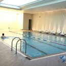 롯데호텔 실내수영장 이미지