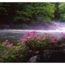 제11공원 Daum카페