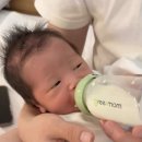 대두목장 | 카브리타 산양분유 1단계 내돈내산 후기, 신생아 물똥 엉덩이 습진에 분유 3번 바꾸고 고른 이유