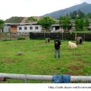 속담농장 이미지