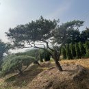 한울조경 주식회사 이미지