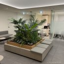 엄사종합인테리어 | 검진부터 수술까지 한번에 가능한 강남 안과 스마트라식 뉴스마일라식 엄돈엄산 후기 (+회복기간, 장점)