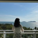 아루 | 코타키나발루 패키지여행 인생샷 건지고 온 반딧불투어 탄중아루 선셋 일정 후기