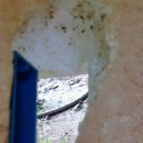 사계절마트 이미지