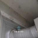 차암스마일어린이집 | 차암 한화 꿈에그린 스마일시티 아파트 베란다·세탁실 결로·곰팡이 방지 탄성코트 시공 후기