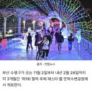 11월 13일 수요일 ..수변공원의 변신 이미지