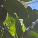 보물창고 이미지