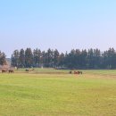 동백목장 이미지