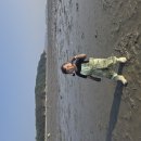 나영이의 주말이야기 이미지