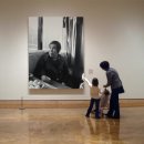 금낭화로 이미지