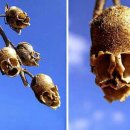 외양농장 이미지