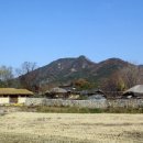 고운상사