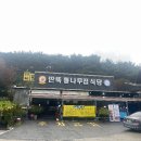 딴뚝통나무집식당 | 🦀 태안 게국지 맛집23년·25년 연속 방문! 변함없는 맛, 딴뚝통나무집식당 후기