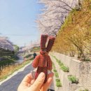 성북-길음-3566 | 성신여대입구역 인테리어 전문 업체 추천 List 6곳