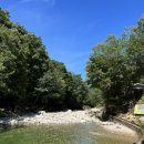 갈론사랑 이미지