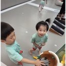 퍼스트 태권도장 이미지