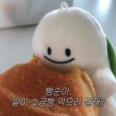 광주070 | 광주 소금빵 맛집 / 북구 중흥동 카페 내돈내산 후기 [위시베이크]