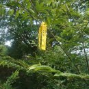 용산-224 이미지