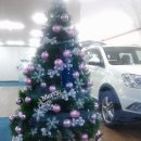 핑크트리 이미지