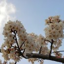 대청고등학교 정문 이미지