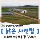 와우체험농장 이미지