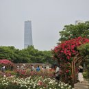 송도 해돋이공원 티스토리