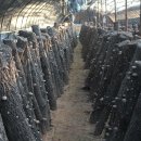 선들농장 이미지