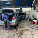 백조카써비스 이미지